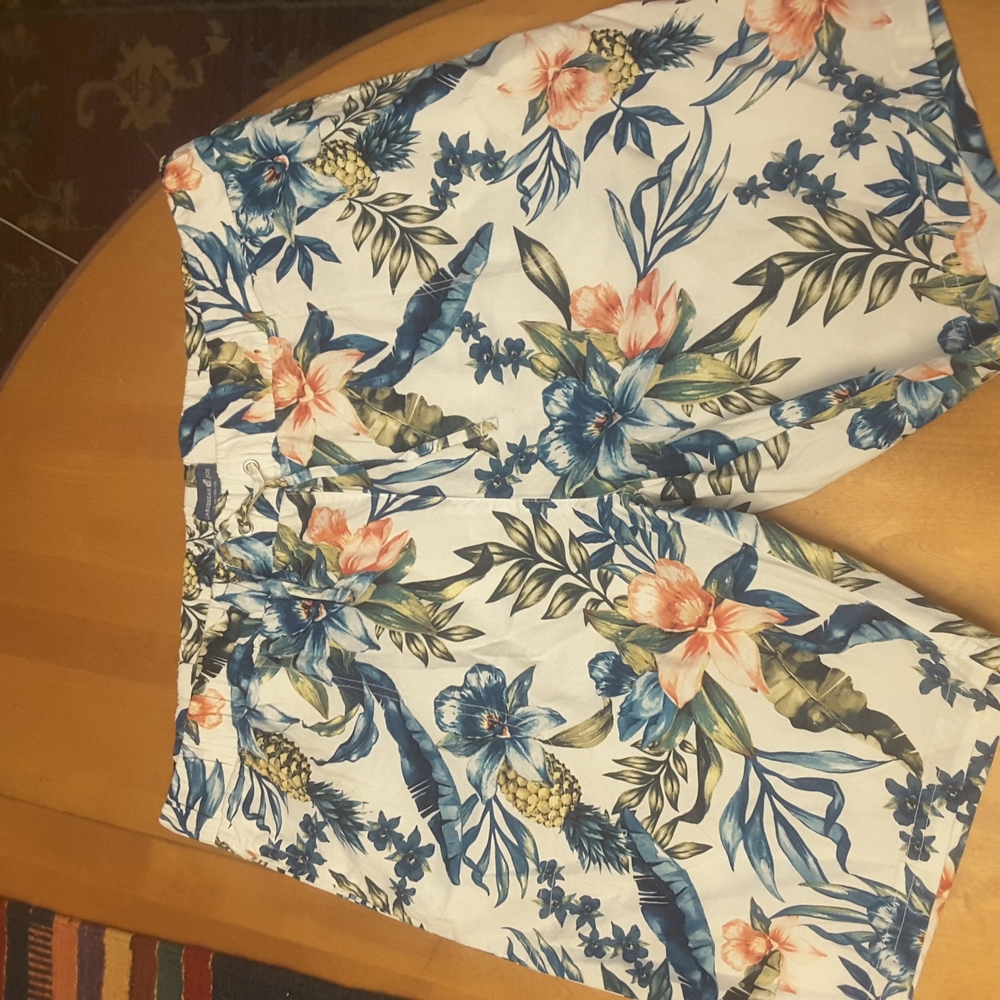 Caribbean Joe Bermuda shorts
